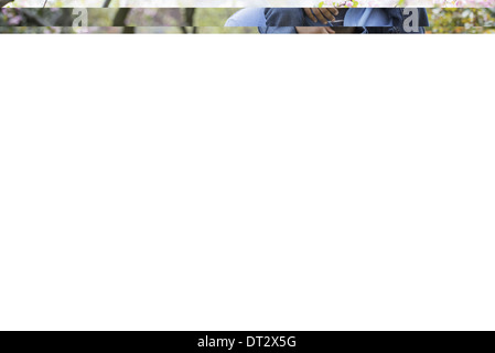 Soleil et fleur de cerisier Un père donnant son fils un tour sur ses épaules Banque D'Images