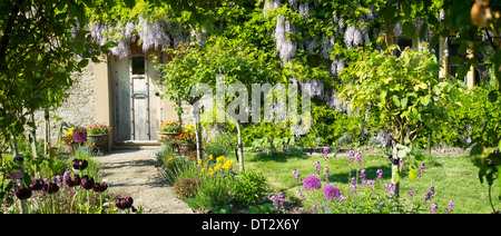 Détail du jardin ferme, Dorset Banque D'Images