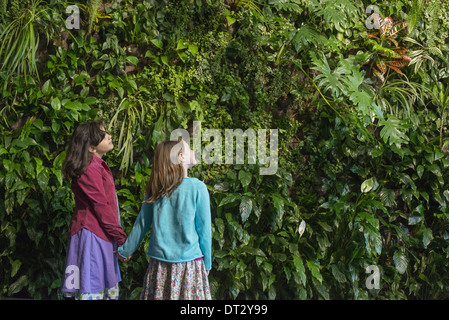 Mode de vie urbain deux enfants se tenant la main et à la recherche jusqu'à un mur couvert de feuillage de plus en plus d'une large gamme de plantes Banque D'Images