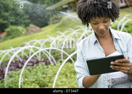 Une femme tenant une tablette numérique Banque D'Images