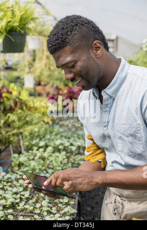 Un homme à l'aide d'une tablette numérique Banque D'Images