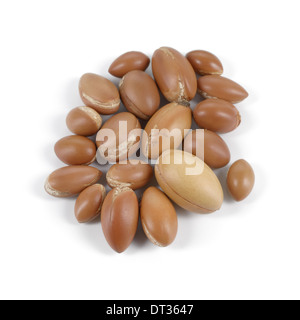 Grand groupe de noix d'argan sur un fond blanc. L'abondance de l'espace de copie. Studio shot horizontale. Banque D'Images