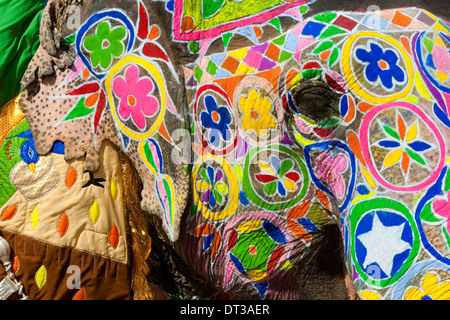 Les éléphants peints pendant Holi, la fête hindoue des couleurs, à Jaipur, Inde. Images de paons et tigres sur le front. Banque D'Images