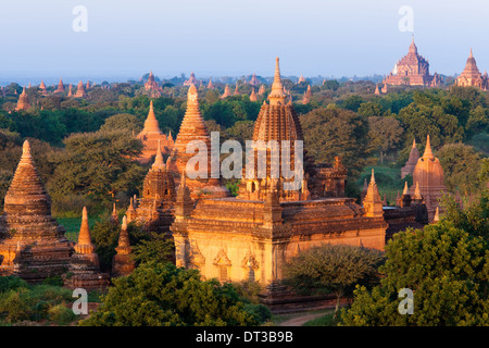 Stupas dans la Zone archéologique de Bagan Bagan, Myanmar Banque D'Images