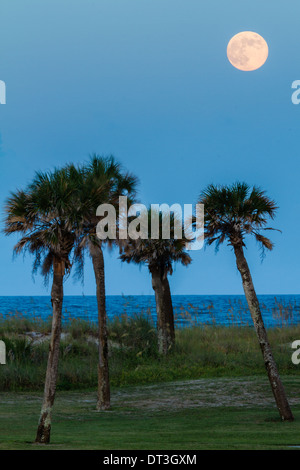 Pleine lune s'élève au-dessus de l'océan et de palmiers en Floride. Banque D'Images