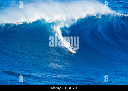 Surfeur extrême circonscription vague géante Banque D'Images