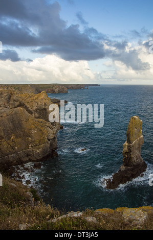 Elegug Stacks sur la côte galloise dans le parc national de la côte du Pembrokeshire, pays de Galles Royaume-Uni Banque D'Images