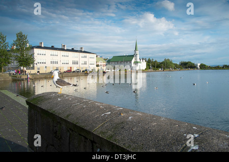 Sur le mur de goélands autour de Tjörnin, Reykjavik, Islande Banque D'Images