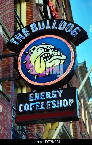 Bulldog coffeeshop de signer à l'endroit des drogues comme la marijuana sont vendus légalement dans Amsterdam, Holland Banque D'Images