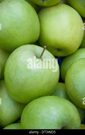 Un tas de pommes vertes Banque D'Images