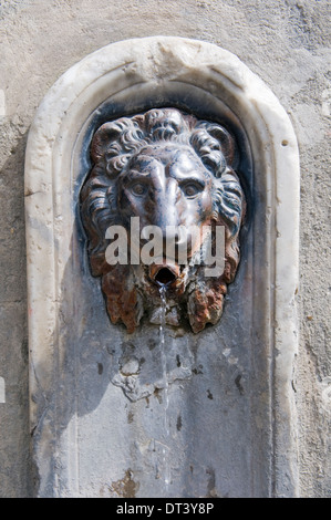 Tête de Lion fontaine à boire à Florence, Italie Banque D'Images