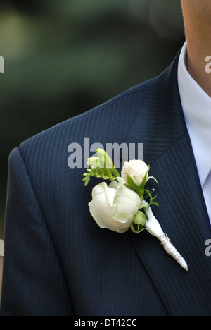 Boutonnière de mariage avec rose sur mans suite Banque D'Images