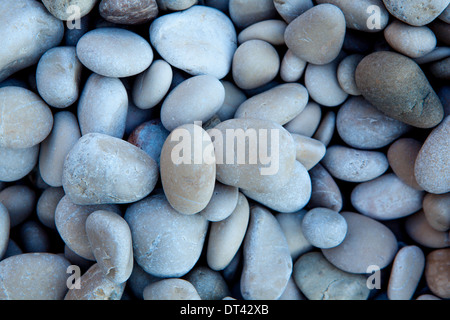 Naturellement poli blanc rock pebbles background on beach Banque D'Images