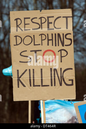 Berlin, Allemagne. 8 février 2014. Poster un message "En ce qui concerne les dauphins cessent de tuer" lors d'une manifestation contre le massacre des dauphins à Taiji (Japon), qui a été organisée par le groupe Droits des animaux WDSF, à Berlin. Selon la police, près de 1 000 personnes ont manifesté contre le massacre des dauphins au large de la côte japonaise devant l'ambassade du Japon à Berlin. . Photo : PAUL ZINKEN/DPA - AUCUN SERVICE DE FIL/KEIN BILDFUNK Crédit photo : dpa- alliance/Alamy Live News Banque D'Images