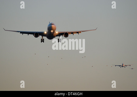 Queue de compagnies aériennes les avions à réaction en approche finale à la terre à l'aéroport de Londres Heathrow et un troupeau d'oiseaux illustrant occupé des couloirs aériens et des risques de collision avec des oiseaux Banque D'Images