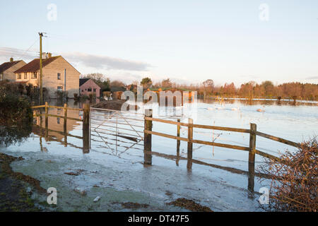 De fortes inondations dans le village de East Lyng le 7 février 2014. Eau des rivières Parrett et le ton sont sorties de leur lit et ont inondé soixante cinq milles carrés de terres agricoles dont plusieurs villages. Une alerte inondation grave demeure dans cette zone entre Lyng Burrowbridge et où il y a un danger pour la vie. L'eau est en augmentation rapide dans le village et a commencé à inonder certaines maisons. Certains résidents ont été invités à évacuer mais ont décidé de rester. Credit : Nick Cable/Alamy Live News Banque D'Images