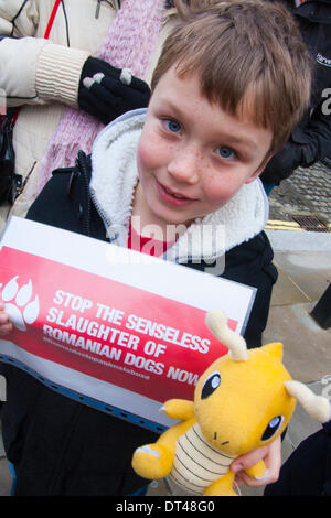 Londres, Royaume-Uni. 8 février 2014. Un jeune garçon qui protestaient devant Downing street contre l'abattage inhumaines et la négligence des chiens errants de Roumanie dans certains refuges pour animaux. Crédit : Paul Davey/Alamy Live News Banque D'Images