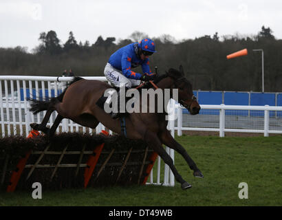 Newbury, Berkshire, Royaume-Uni. Le 08 février, 2014. Calipto et Daryl Jacob en action au cours de la réunion du super samedi Betfair au Newbury Racecourse Credit : Action Plus Sport/Alamy Live News Banque D'Images