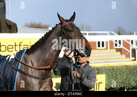 Newbury, Berkshire, Royaume-Uni. Le 08 février, 2014. Au cours de la sacré Sprinter Betfair Super Samedi Réunion à Newbury : Action Crédit Plus Sport/Alamy Live News Banque D'Images