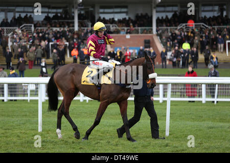 Newbury, Berkshire, Royaume-Uni. Le 08 février, 2014. Harry Topper gagnant du Denman Chase au cours de la réunion du super samedi Betfair au Newbury Racecourse Credit : Action Plus Sport/Alamy Live News Banque D'Images