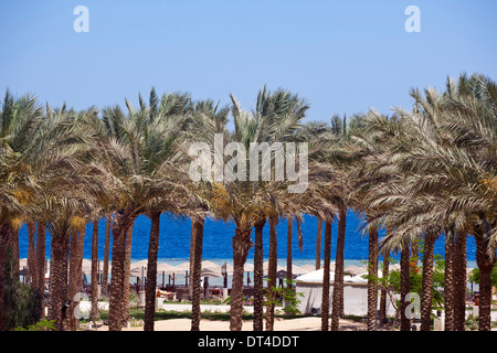 Plage de Makadi Bay en Egypte Banque D'Images