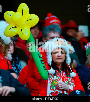 Dublin, Irlande. Le 08 février, 2014. Certains fans gallois bien habillé à la match du Tournoi RBS 6 Nations entre l'Irlande et le Pays de Galles à l'Aviva Stadium de Dublin © Action Plus Sports/Alamy Live News Banque D'Images