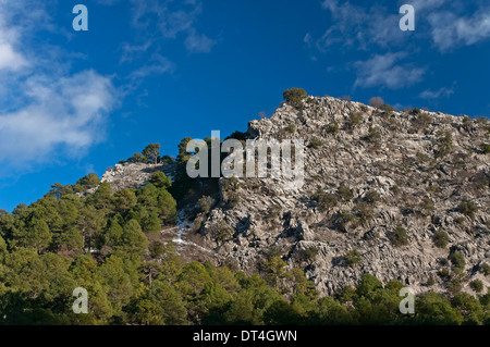 Paysage rocheux, Parc Naturel des Sierras de Cazorla, Segura y Las Villas Jaen-province, région d'Andalousie, Espagne ; Europe Banque D'Images