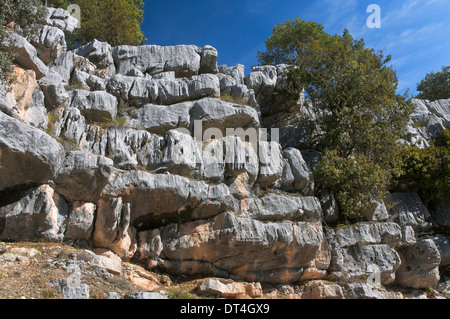 Paysage rocheux, Parc Naturel des Sierras de Cazorla, Segura y Las Villas Jaen-province, région d'Andalousie, Espagne ; Europe Banque D'Images