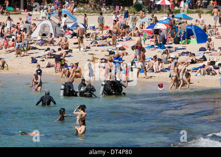 Shelly Beach bondé à Manly Sydney avec des gens qui se détendent et prennent le soleil sur la plage tandis que les plongeurs se dirigent vers la réserve aquatique de Cabbage Tree Bay Banque D'Images