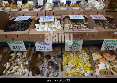 Champignons au Ferry Building Marketplace Banque D'Images