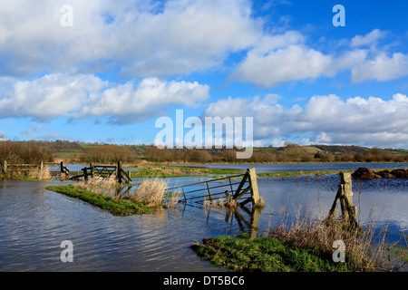 Les inondations, les niveaux de Somerset, UK 2014. Les terres agricoles inondées sur Carex Ouest Moor Banque D'Images