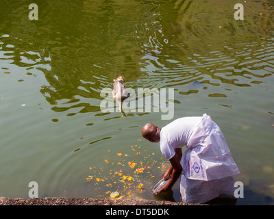 En faisant des offrandes à Banganga tank Banque D'Images