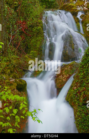 Urbasa Urederra Rivière, Parc Naturel. Urederra rivière près de sa source, Navarra. Baquedano, Navarre, Espagne. Banque D'Images