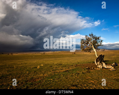 La tempête près de Berridale, montagnes enneigées, NSW, Australie Banque D'Images