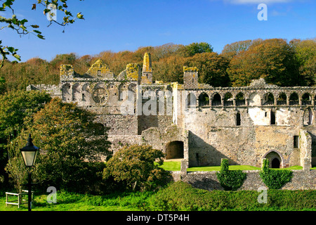 Des immeubles en ruines, palais des évêques, la cathédrale de St David's, St David's City, Parc National de Pembrokeshire, Pays de Galles, Royaume-Uni Banque D'Images