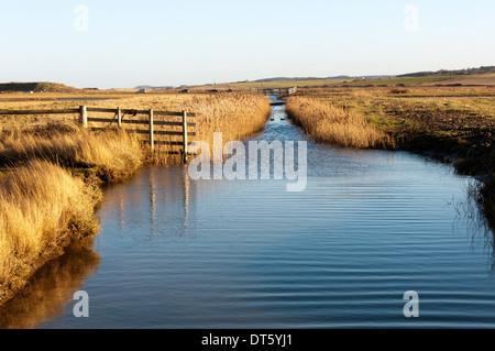 Les marais près de Salthouse Claj sur la côte nord du comté de Norfolk. Banque D'Images