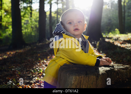 Portrait of male toddler leaning against tree stump Banque D'Images