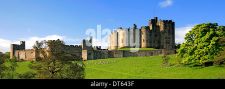 L'été, le château d'Alnwick, rivière Aln, Alnwick, ville du comté de Northumbrie, England, UK Banque D'Images