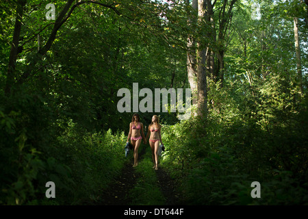 Les amis marche sur piste forestière Banque D'Images