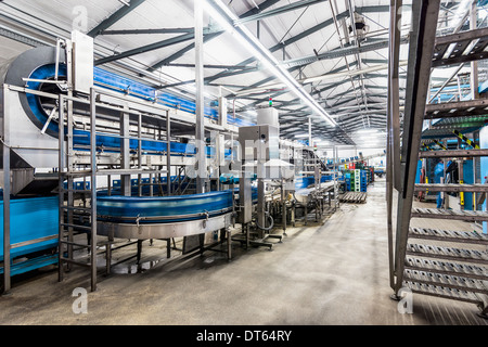 Caisses de bouteilles d'eau minérale sur la courroie du convoyeur de l'usine Banque D'Images