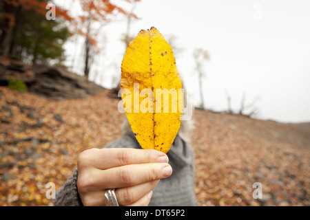 Une femme tenant une feuille d'automne masquant son visage. Banque D'Images