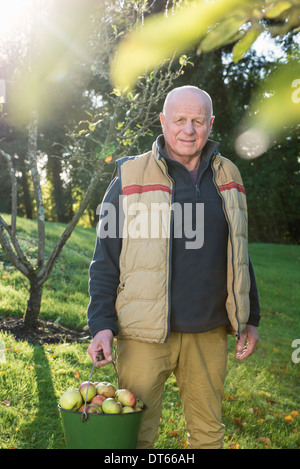 Homme portant des pommes de godet Banque D'Images