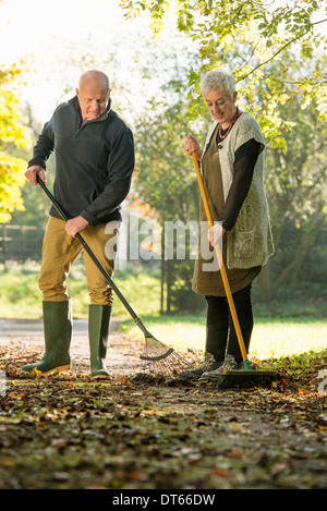 Senior couple ratissage des feuilles sur le chemin Banque D'Images