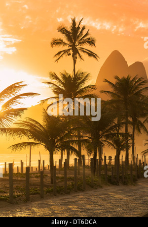 Palmiers au coucher du soleil sur la plage d'Ipanema, Rio de Janeiro, Brésil Banque D'Images