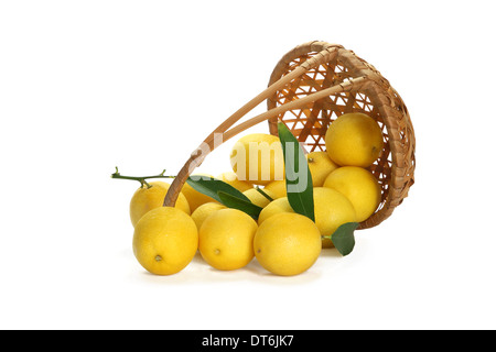 Citrons dispersés de panier en osier isolé sur fond blanc Banque D'Images