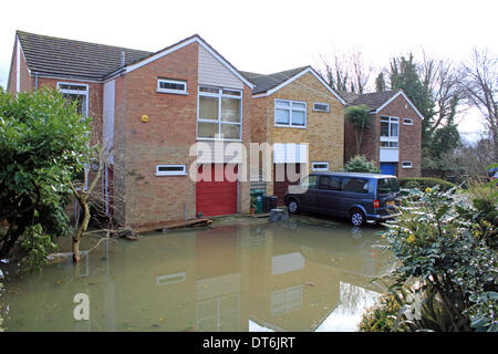 Lower Sunbury, Surrey, Angleterre, Royaume-Uni. 10 février 2014. Après les niveaux exceptionnels de l'eau de pluie à travers le Royaume-Uni, la Tamise a éclaté ses banques dans de nombreux endroits à Surrey. Ici, à Lower Sunbury de nombreuses maisons ont été inondées. Credit : Julia Gavin/Alamy Live News Banque D'Images