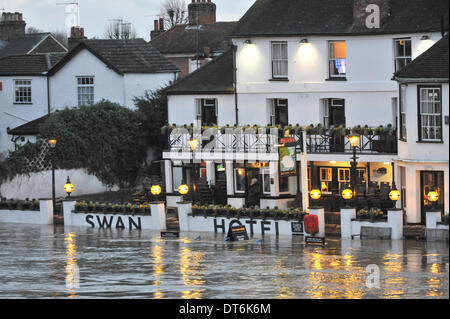 Egham, Surrey, UK. 10 février 2014. Propriétés riveraines sont en danger, la Tamise est gonflé et très haut et rapide à Staines, et à partir d'inondation. Crédit : Matthieu Chattle/Alamy Live News Banque D'Images