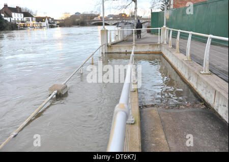 Egham, Surrey, UK. 10 février 2014. La Tamise est gonflé et très haut et rapide à Staines, et à partir d'inondation. Crédit : Matthieu Chattle/Alamy Live News Banque D'Images