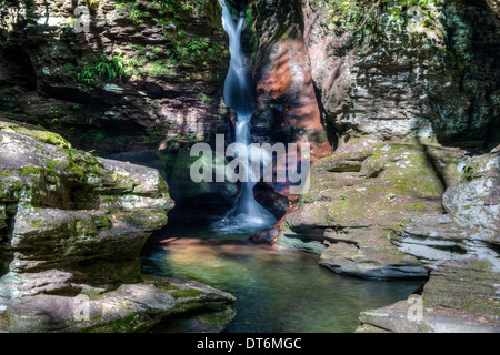 Ricketts Glen ports Glens espace naturel, un monument naturel national, Adams falls Banque D'Images