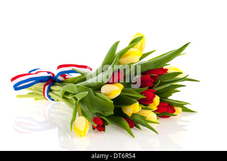 Bouquet de tulipes en rouge et blanc Banque D'Images